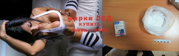 гидропоника Богородск