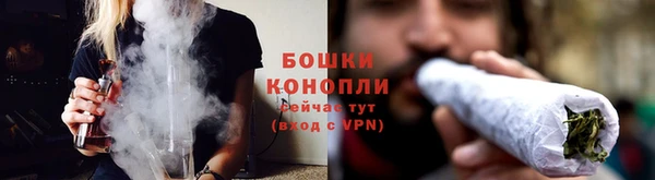 гидропоника Богородск