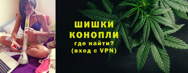 эйфоретик Богданович