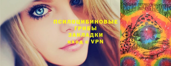 эйфоретик Богданович