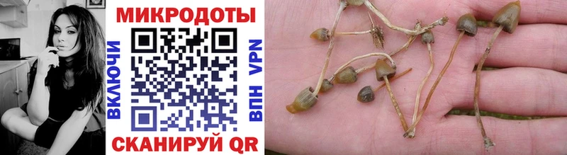 наркотики  Дивногорск  Псилоцибиновые грибы Cubensis 